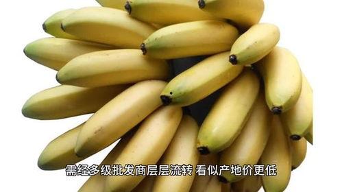 香蕉网国产